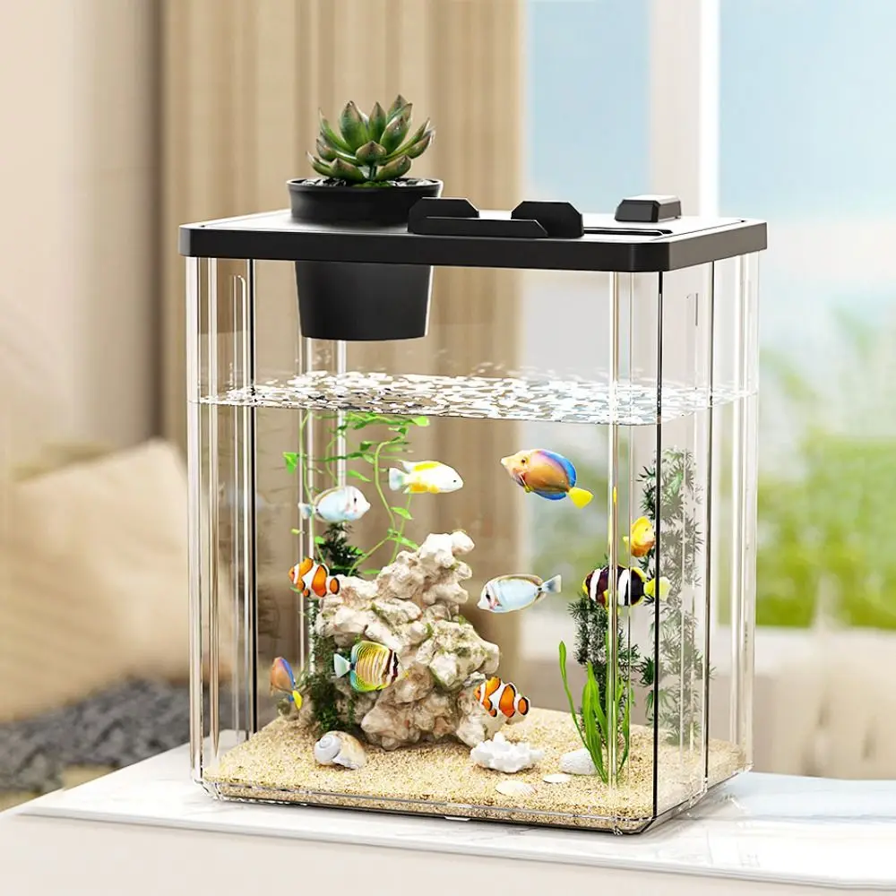 Marine Aquarium With Sump - ตู้ปลาตั้งโต๊ะพร้อมปั๊มน้ำ ตัวกรองใส ตกแต่งตู้ปลา กระถางปลามีฝาปิด ตกแต่งบ้าน ตู้เลี้ยงปลา