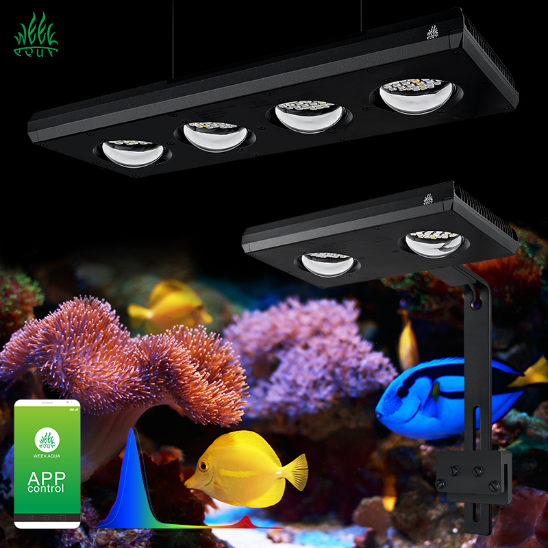 Aquarium Marine Blue - ไฟ LED สำหรับตู้ปลาทะเล ZXY Hot Sale