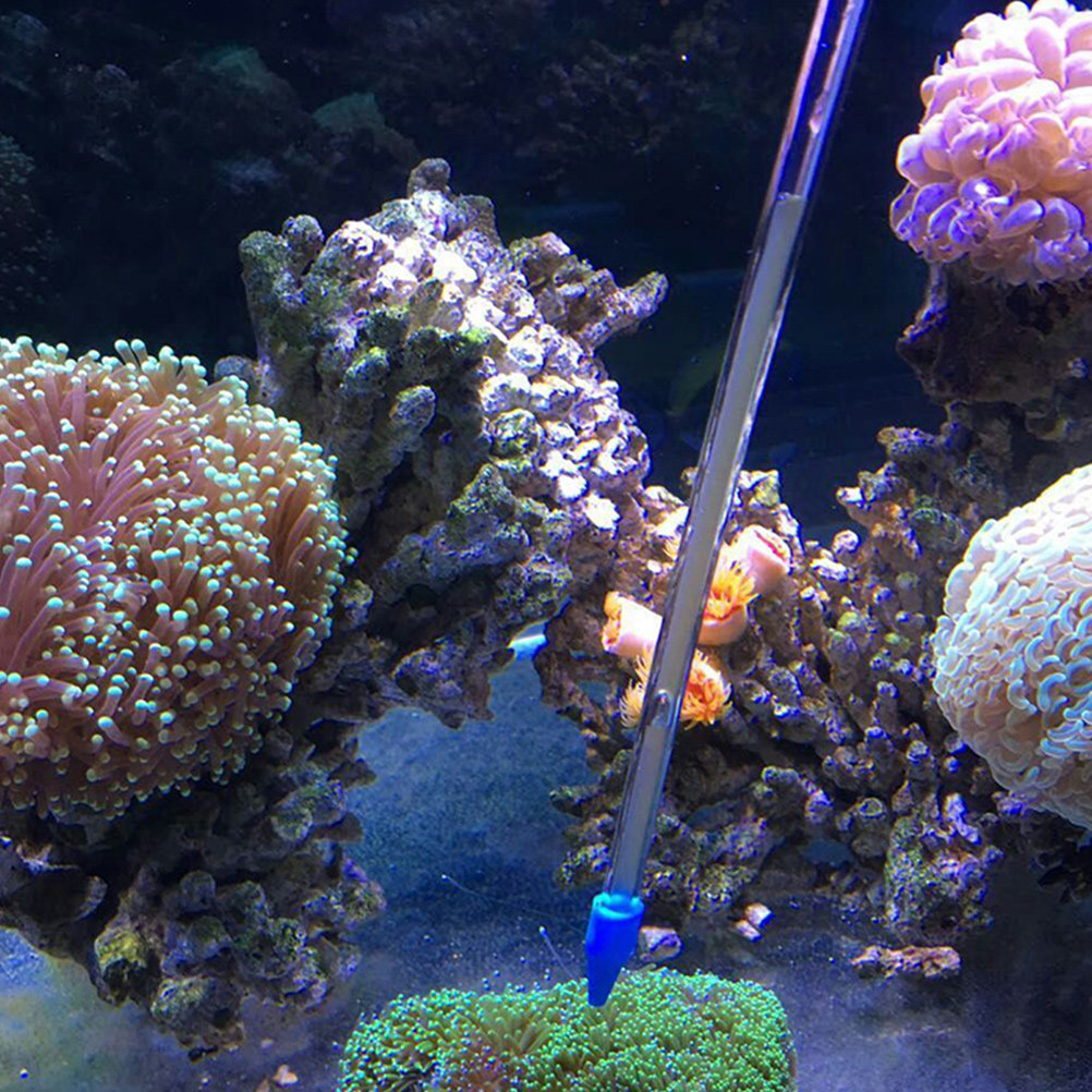 ท่อป้อนอาหารปะการังสำหรับตู้ปล - Coral Food Liquid บทวิจารณ์และราคา