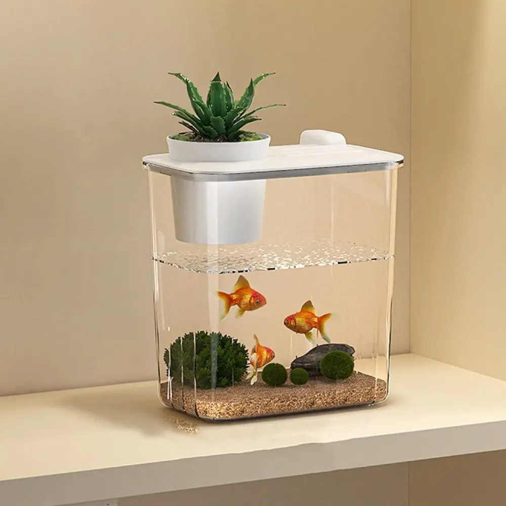 ตู้ปลาตั้งโต๊ะพร้อมปั๊มน้ำ  ตั - Marine Aquarium With Sump บทวิจารณ์และราคา