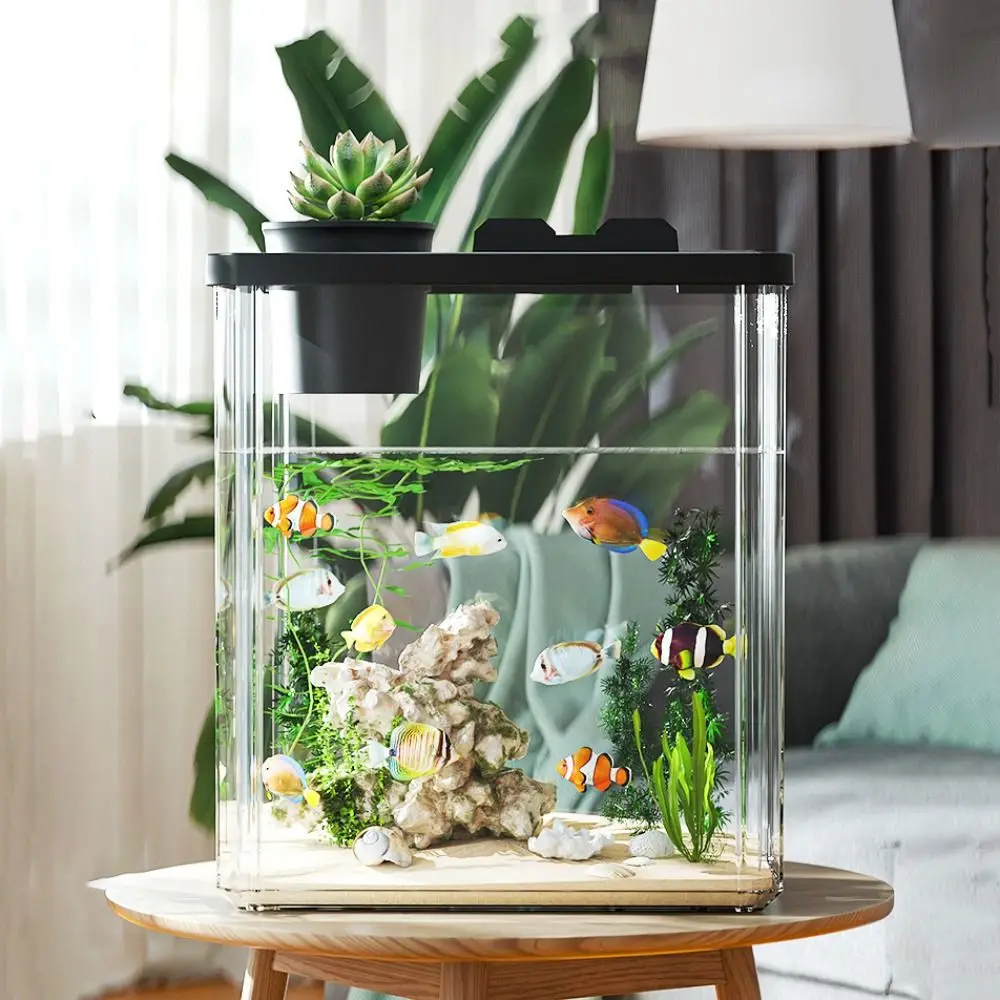 ตู้ปลาตั้งโต๊ะพร้อมปั๊มน้ำ  ตั - Marine Aquarium With Sump บทวิจารณ์และราคา