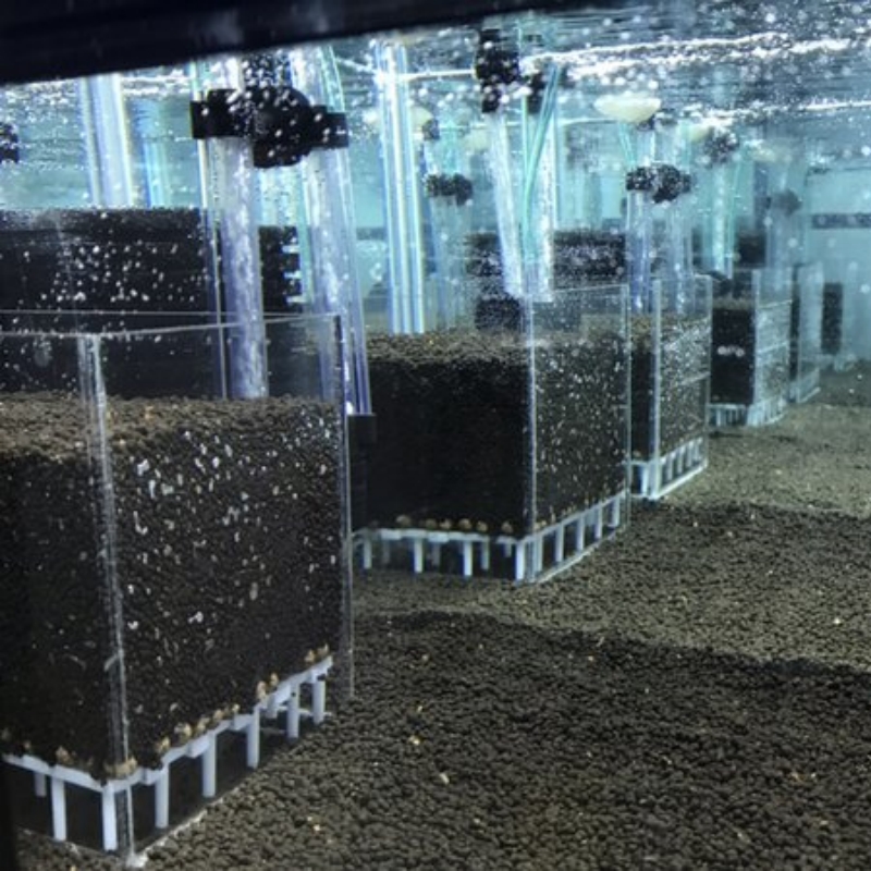 ระบบกรองตู้ปลาอะคริลิกใส กล่อง - Marine Aquarium Overflow Box บทวิจารณ์และราคา