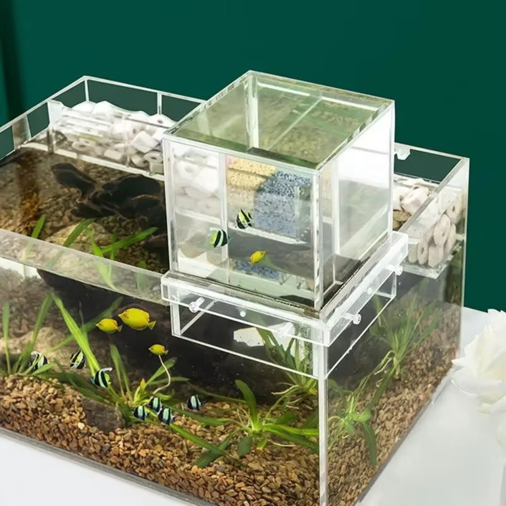 ตู้ปลาแรงดันลบแบบจัดสวนภูมิทัศ - Marine Aquarium With Sump บทวิจารณ์และราคา
