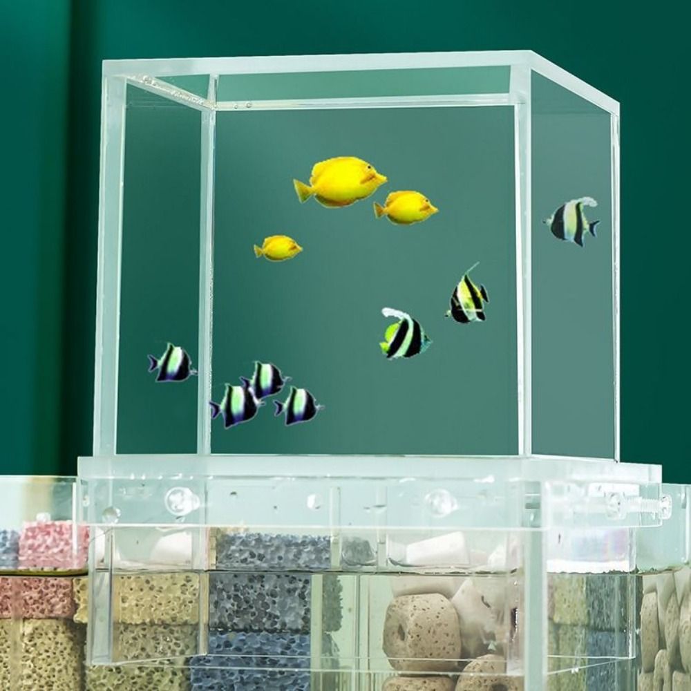 ตู้ปลาแรงดันลบแบบจัดสวนภูมิทัศ - Marine Aquarium With Sump บทวิจารณ์และราคา