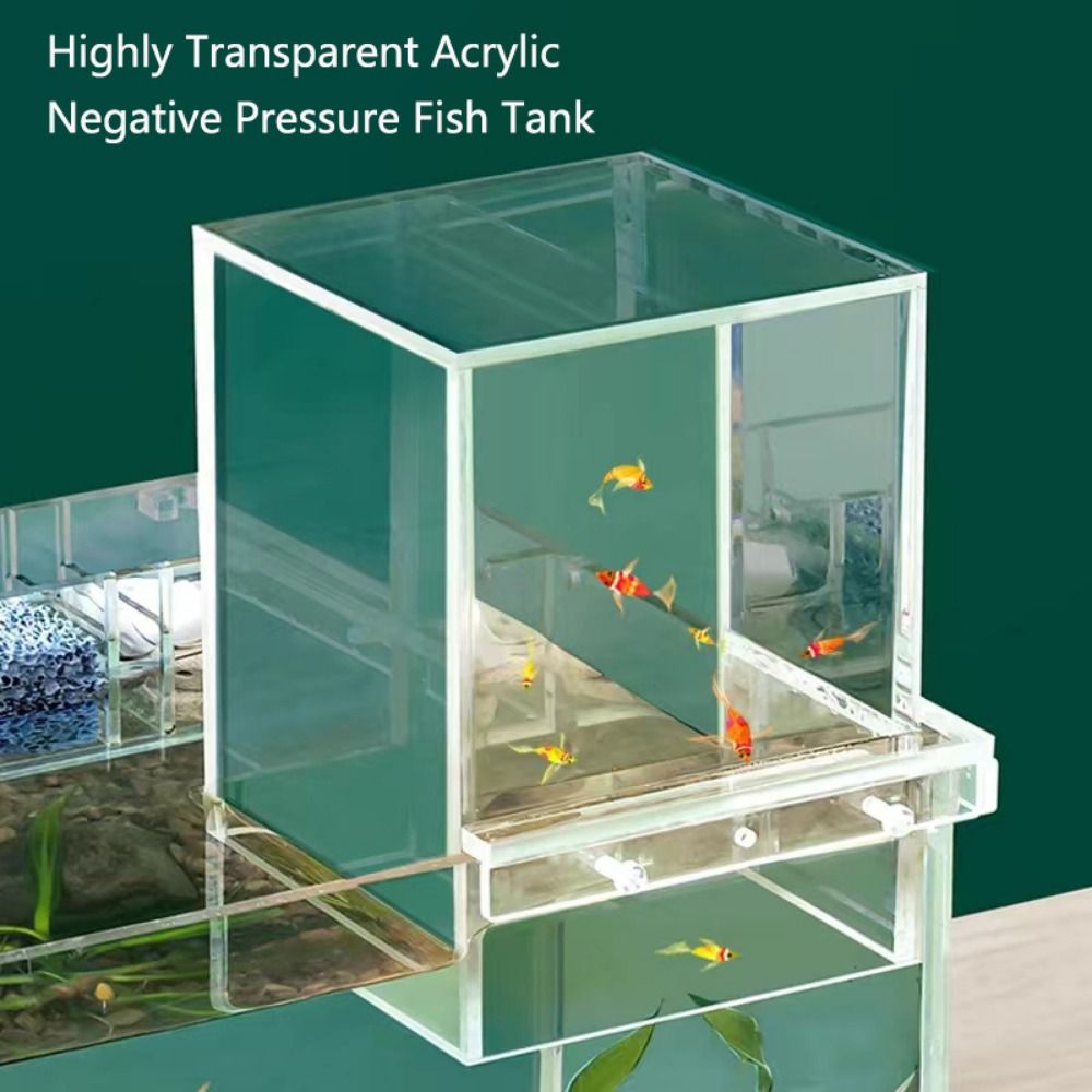 ตู้ปลาแรงดันลบแบบจัดสวนภูมิทัศ - Marine Aquarium With Sump บทวิจารณ์และราคา
