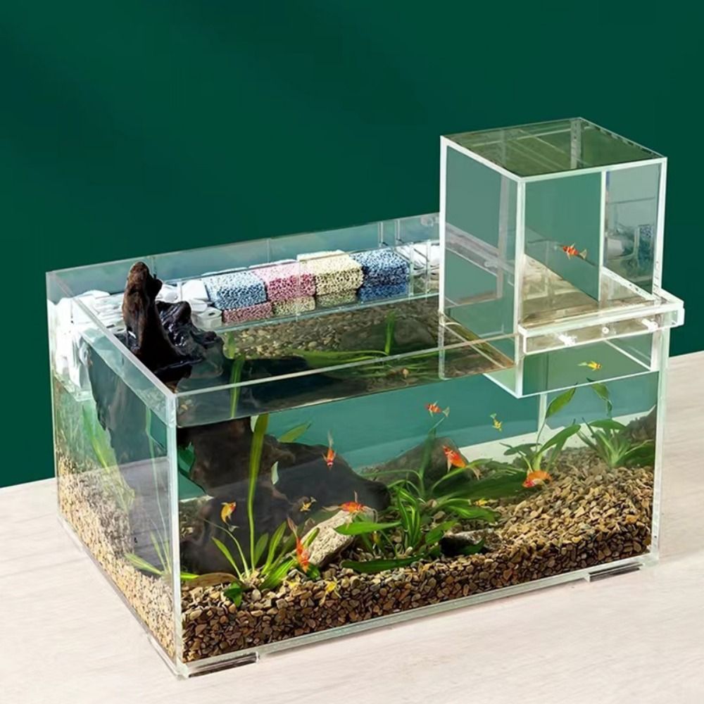 ตู้ปลาแรงดันลบแบบจัดสวนภูมิทัศ - Marine Aquarium With Sump บทวิจารณ์และราคา