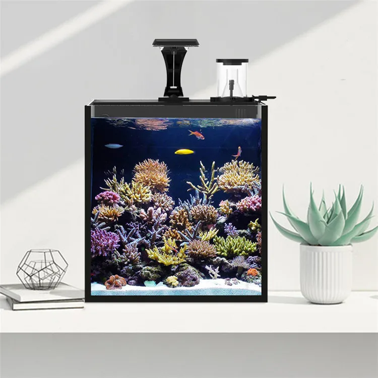 ตู้ปลาทะเลน้ำเค็มขนาดเล็ก รุ่น - Aquarium Marine Salt บทวิจารณ์และราคา