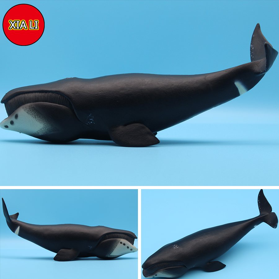 ของเล่นจำลองสัตว์ทะเล วาฬเพชฌฆ - Aquarium Marine Blue บทวิจารณ์และราคา