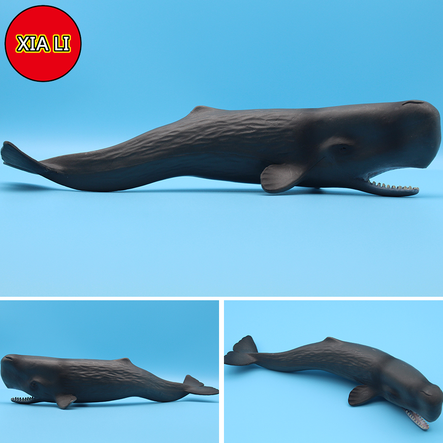 ของเล่นจำลองสัตว์ทะเล วาฬเพชฌฆ - Aquarium Marine Blue บทวิจารณ์และราคา
