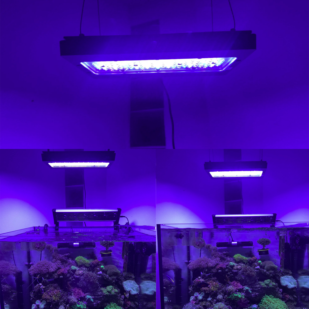 A8se Pro II MAX สีน้ำเงิน 240W - Aquarium Marine Blue บทวิจารณ์และราคา
