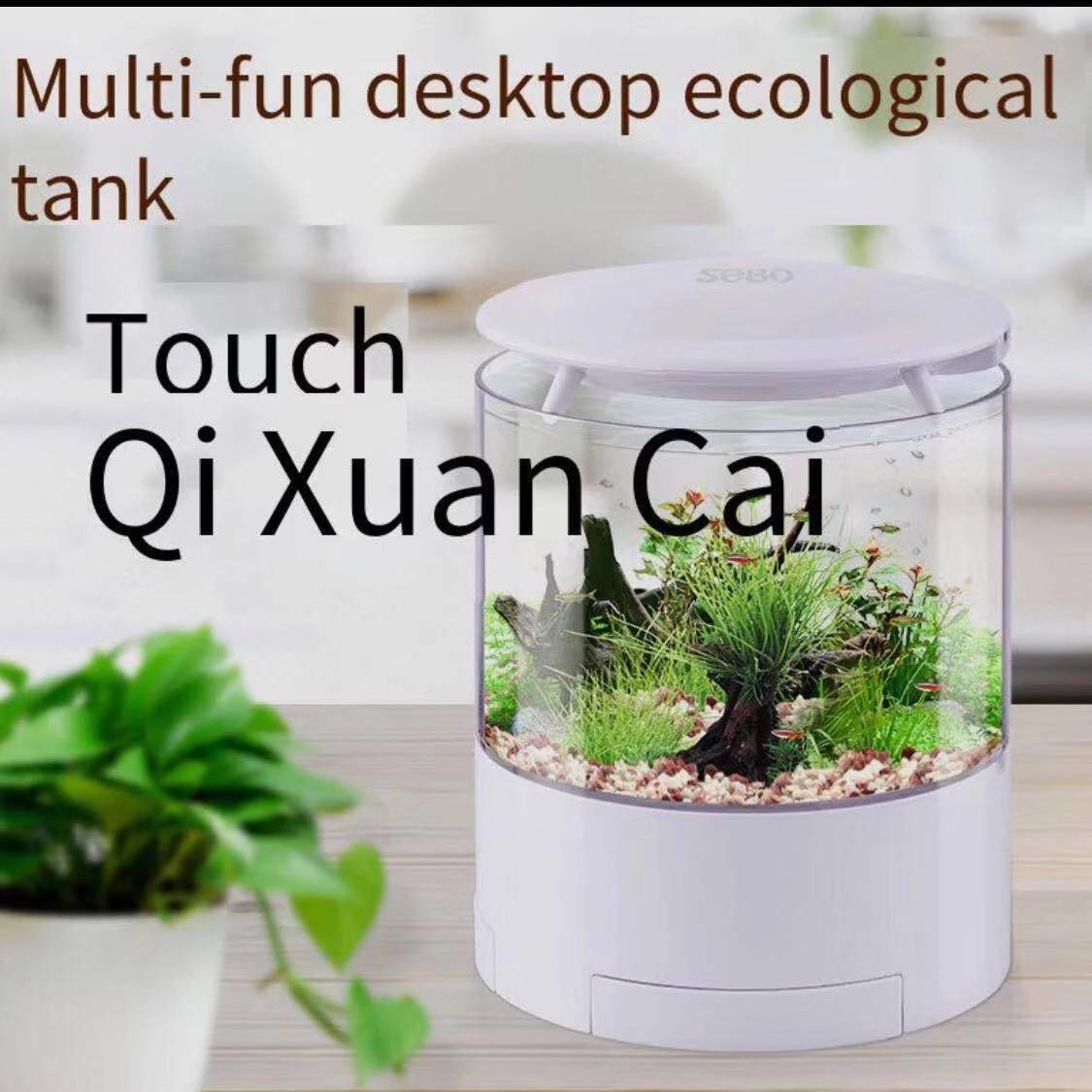 รอบไฟสีสันสดใสเดสก์ท็อปถังปลา  - Marine Aquarium With Sump บทวิจารณ์และราคา