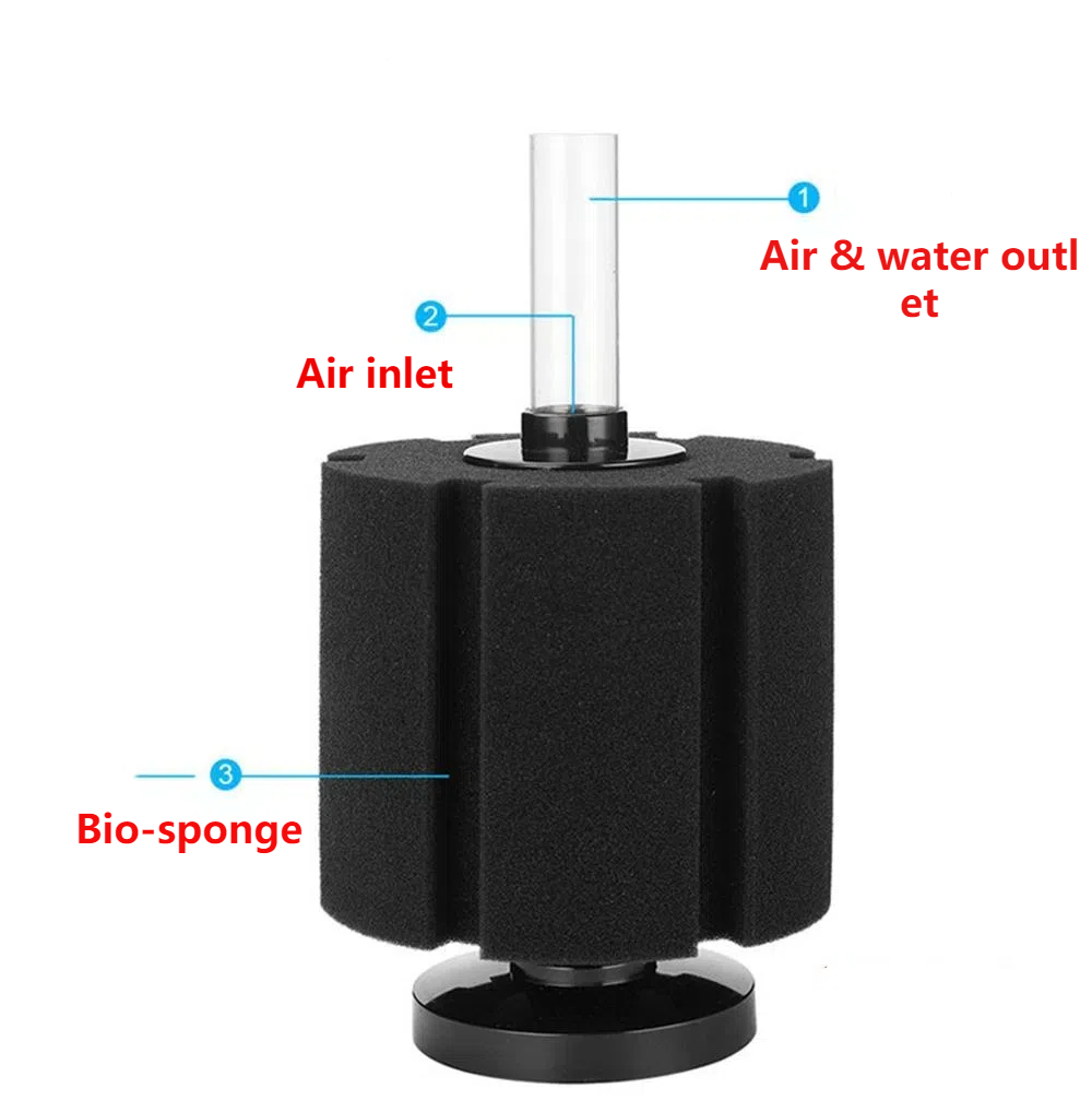 ฟองน้ำกรองตู้ปลา ปั๊มลม สกิมเม - Marine Aquarium Overflow Box บทวิจารณ์และราคา