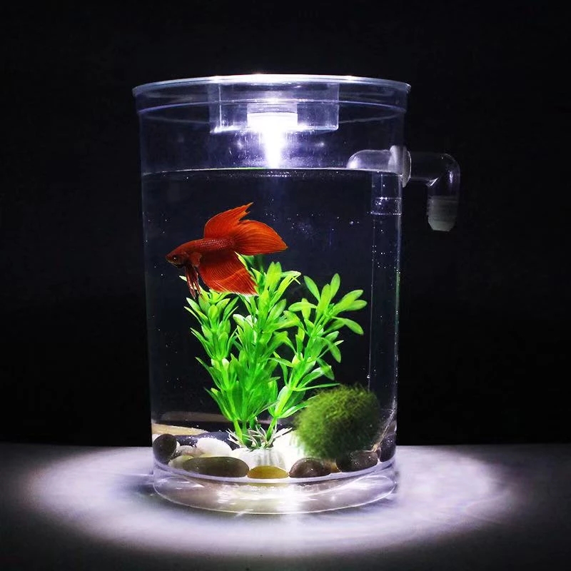 ขี้เกียจฟรีเปลี่ยนน้ําเดสก์ท็อ - Marine Aquarium With Sump บทวิจารณ์และราคา