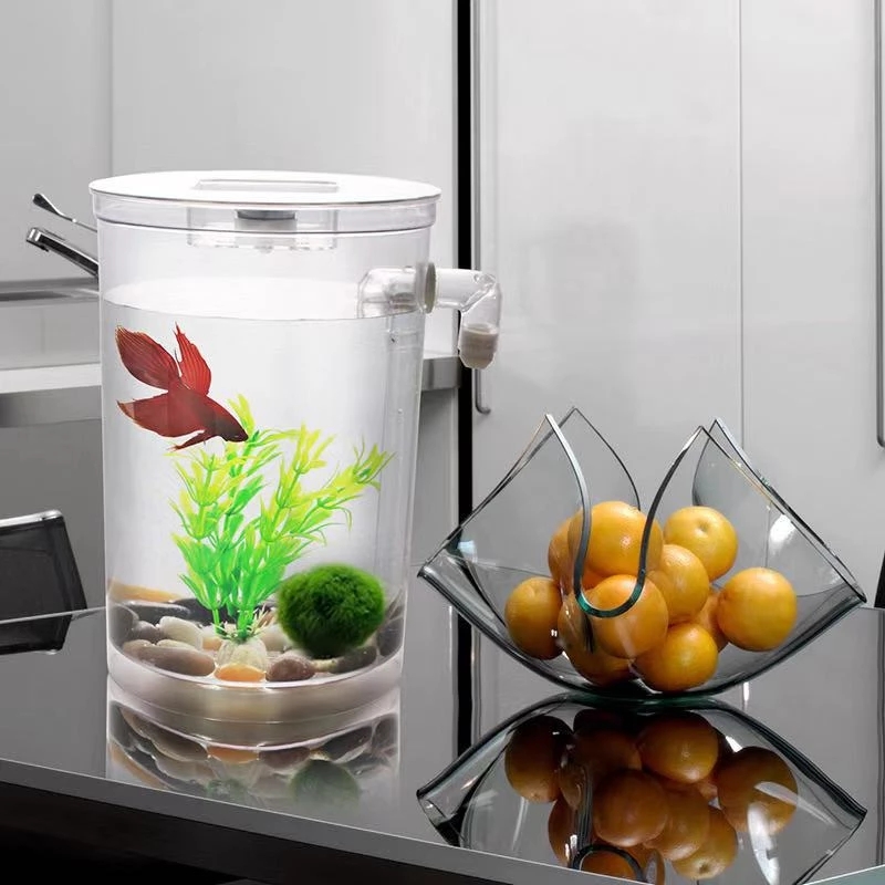 ขี้เกียจฟรีเปลี่ยนน้ําเดสก์ท็อ - Marine Aquarium With Sump บทวิจารณ์และราคา