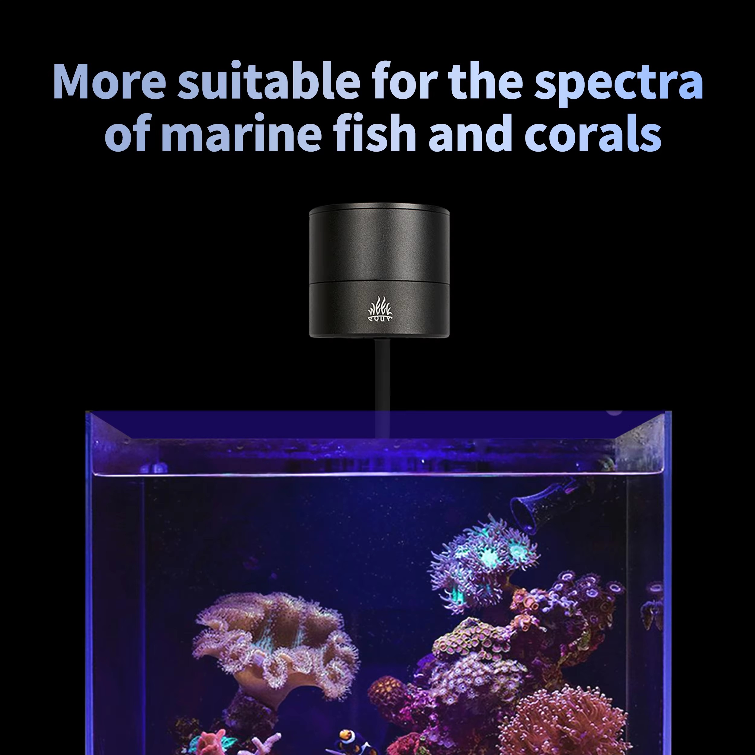 ไฟสำหรับตู้ปลา WEEK AQUA รุ่น  - Aquarium Marine Blue บทวิจารณ์และราคา