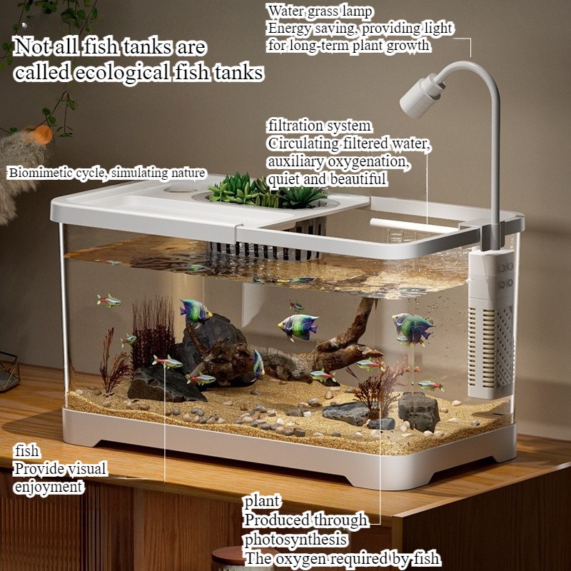 ตู้ปลาสำหรับใช้ในบ้าน ตู้ปลาตั - Marine Aquarium With Sump บทวิจารณ์และราคา