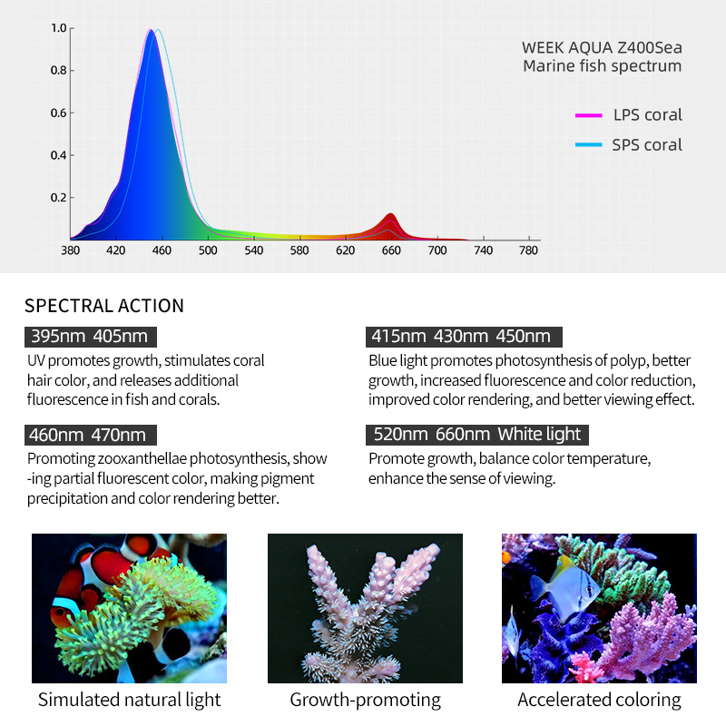ไฟ LED สำหรับตู้ปลาทะเล ZXY Ho - Aquarium Marine Blue บทวิจารณ์และราคา
