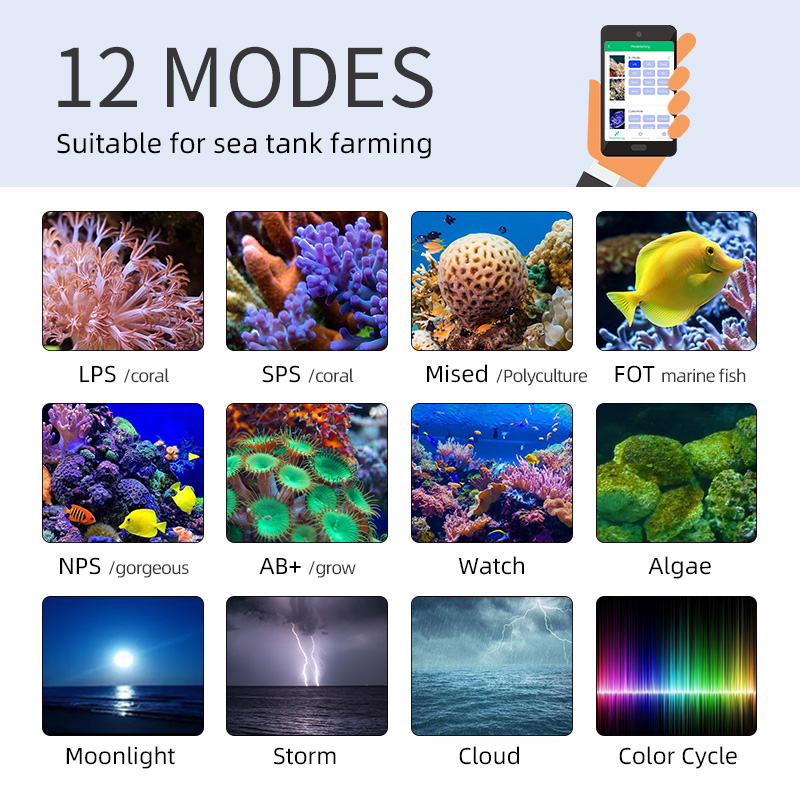 ไฟ LED สำหรับตู้ปลาทะเล ZXY Ho - Aquarium Marine Blue บทวิจารณ์และราคา