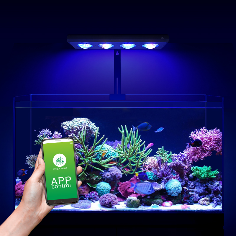 ไฟ LED สำหรับตู้ปลาทะเล ZXY Ho - Aquarium Marine Blue บทวิจารณ์และราคา