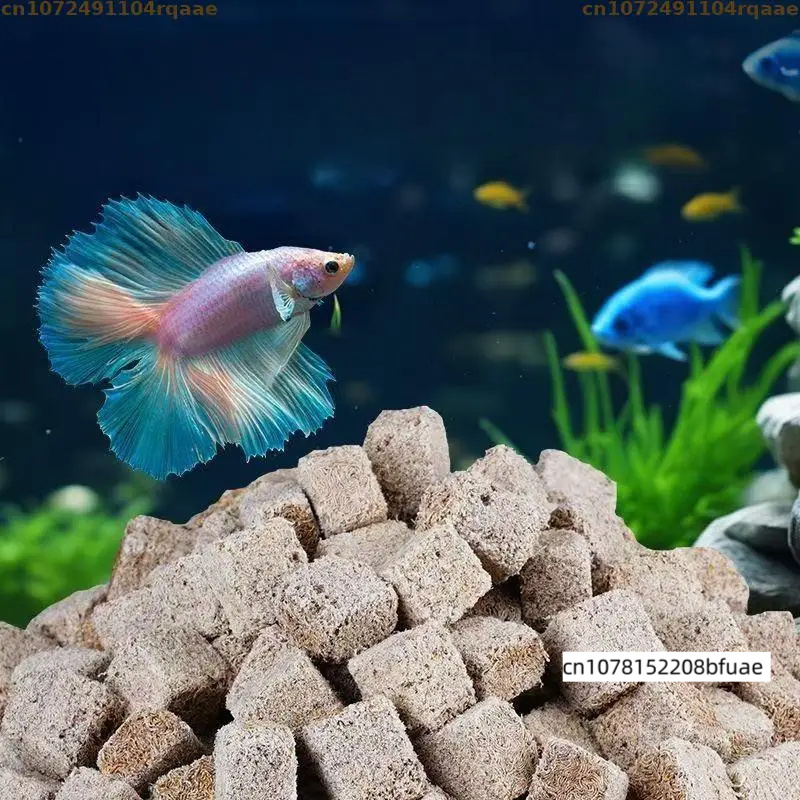 อาหารปลาสำหรับตู้ปลาแบบเติมได้ - Marine Aquarium Cube บทวิจารณ์และราคา