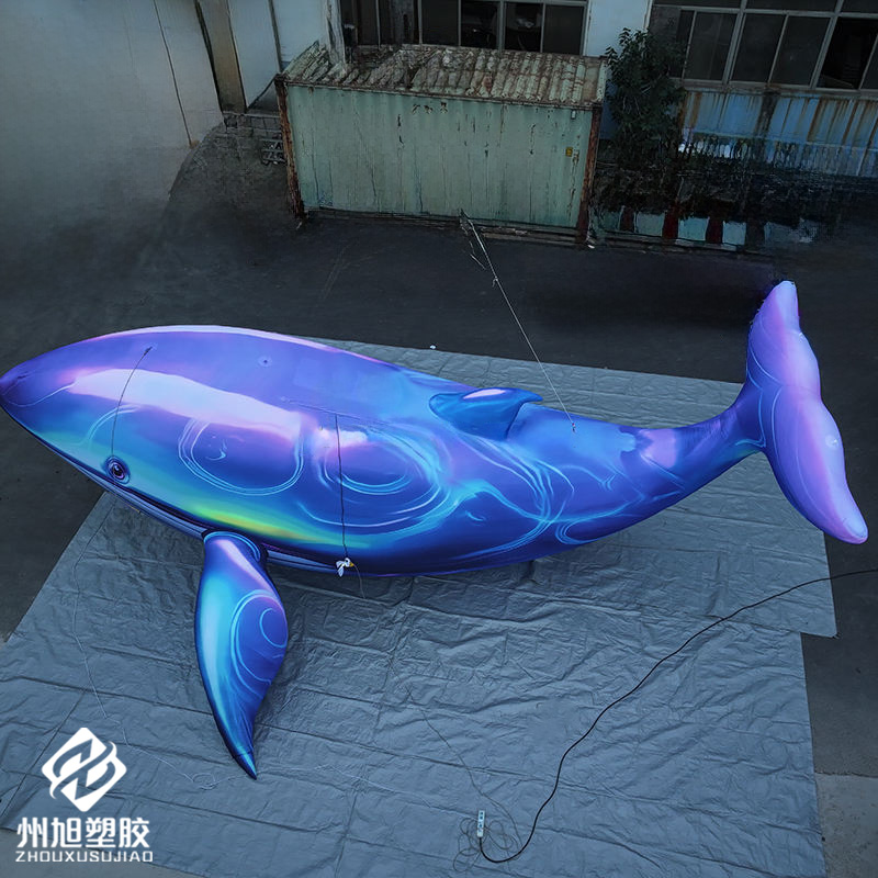 วาฬสีน้ำเงินเป่าลม ใช้เป็นของต - Aquarium Marine Blue บทวิจารณ์และราคา