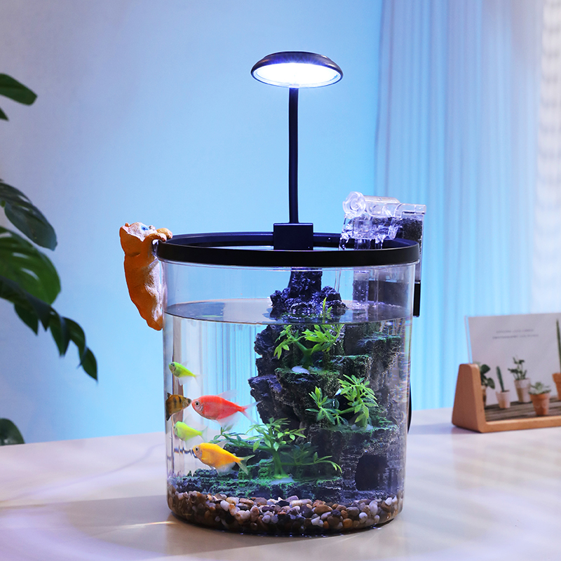 ตู้ปลาทรงกลมขนาดเล็กสีทอง - ระ - Marine Aquarium With Sump บทวิจารณ์และราคา
