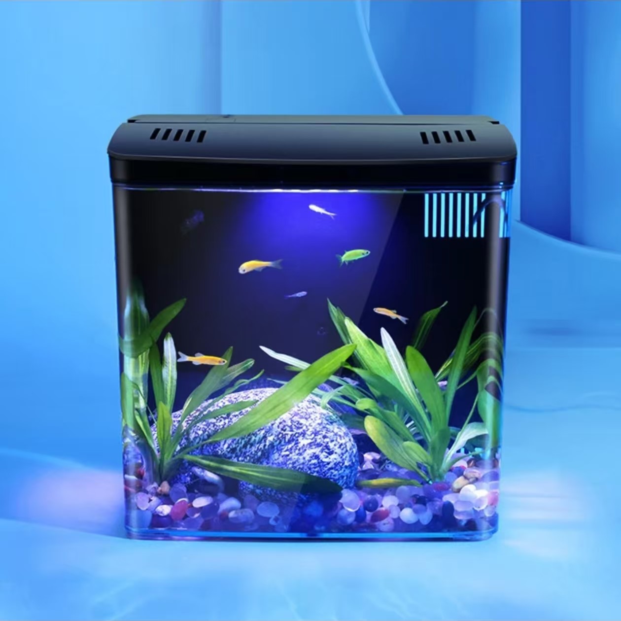 ถังปลาห้องนั่งเล่นขนาดเล็ก Min - Marine Aquarium With Sump บทวิจารณ์และราคา