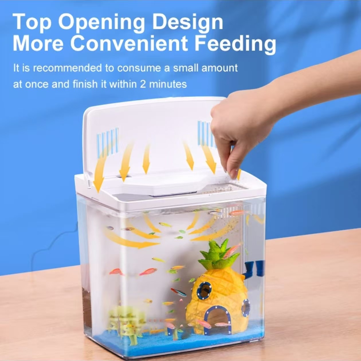 ถังปลาห้องนั่งเล่นขนาดเล็ก Min - Marine Aquarium With Sump บทวิจารณ์และราคา