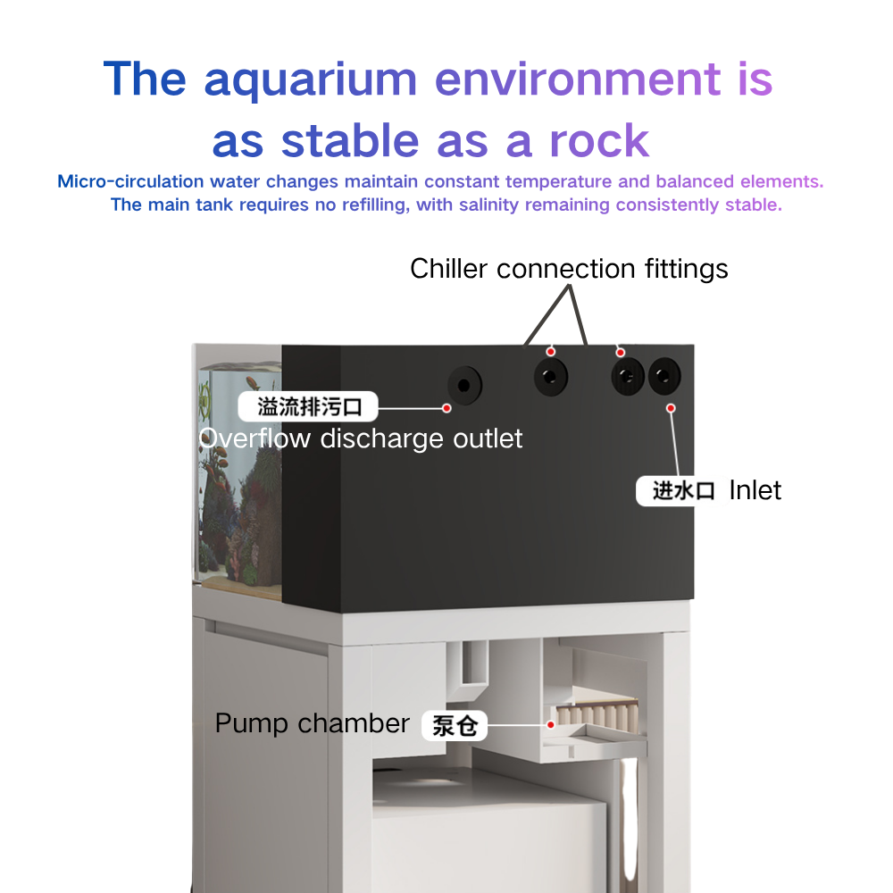 ตู้ปลาอัจฉริยะเปลี่ยนน้ำอัตโนม - Marine Aquarium Cube บทวิจารณ์และราคา