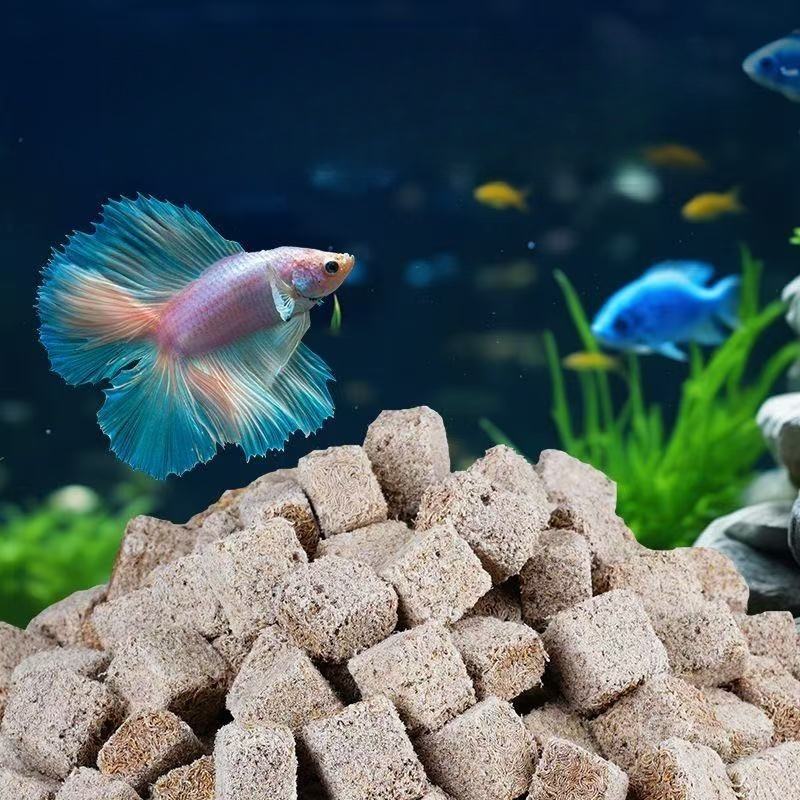 หนอนเลือดอบแห้งธรรมชาติแบบก้อน - Marine Aquarium Cube บทวิจารณ์และราคา