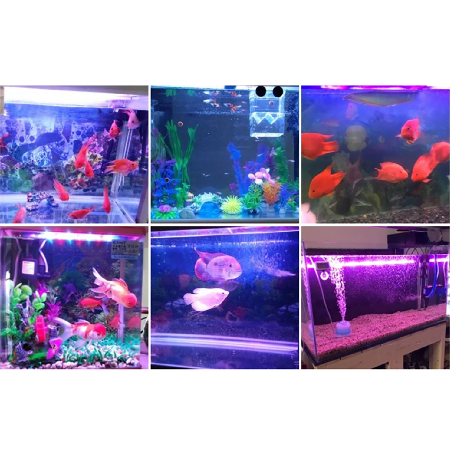 ไฟ LED สำหรับตู้ปลาทะเล กำลังส - Aquarium Marine Blue บทวิจารณ์และราคา
