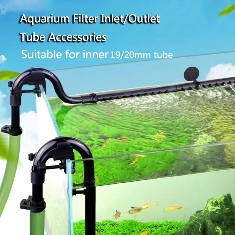 พิพิธภัณฑ์สัตว์น้ําตู้ปลากรองฝ - Marine Aquarium Overflow Box บทวิจารณ์และราคา