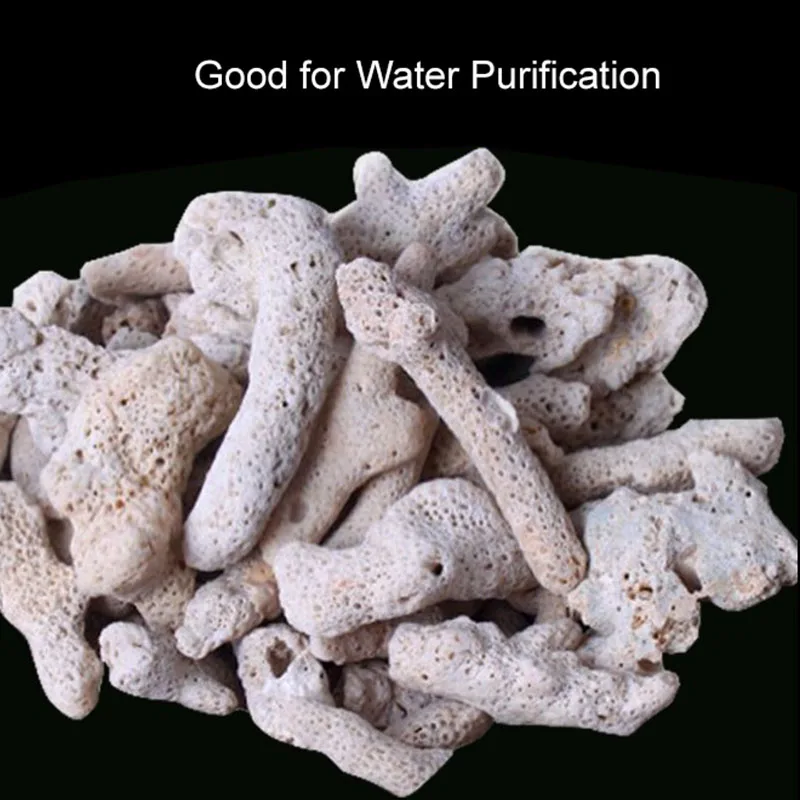 ธรรมชาติคุณภาพสูง Coral กระดูก - Calcium Reactor Media บทวิจารณ์และราคา