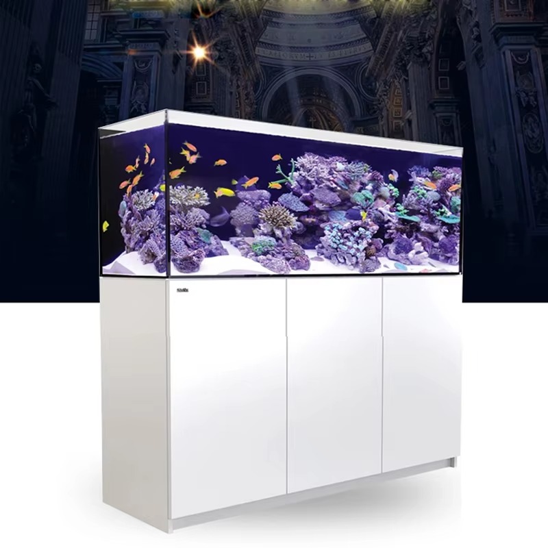 อุปกรณ์ตกแต่งตู้ปลาคุณภาพสูง ต - Aquarium Marine Setup บทวิจารณ์และราคา