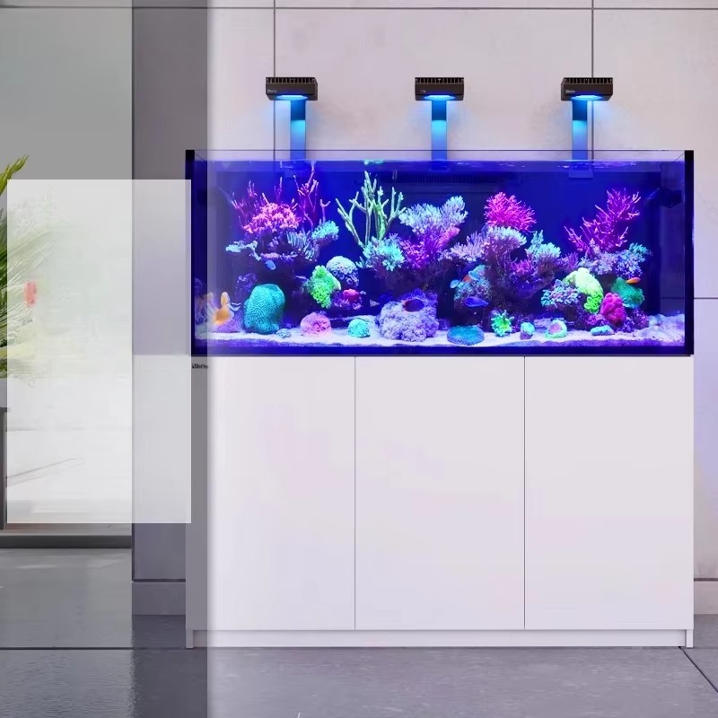 อุปกรณ์ตกแต่งตู้ปลาคุณภาพสูง ต - Aquarium Marine Setup บทวิจารณ์และราคา