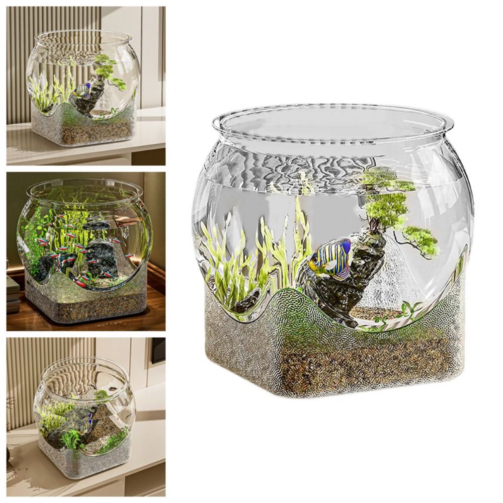 ตู้ปลาทรงกลมใสพิเศษ ถอดประกอบไ - Marine Aquarium With Sump บทวิจารณ์และราคา