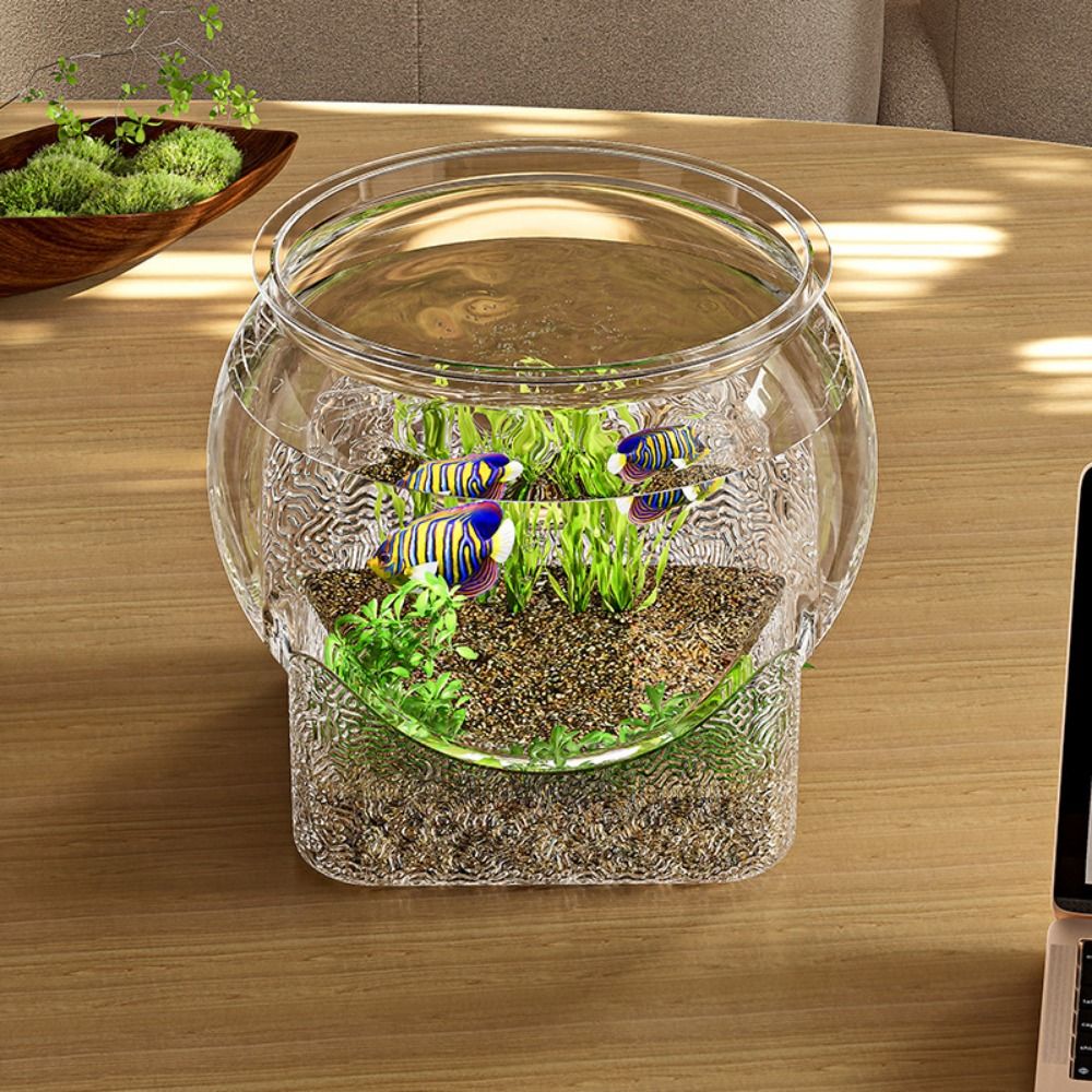 ตู้ปลาทรงกลมใสพิเศษ ถอดประกอบไ - Marine Aquarium With Sump บทวิจารณ์และราคา