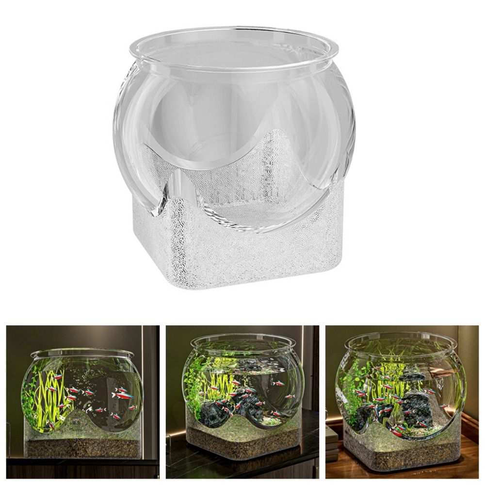 ตู้ปลาทรงกลมใสพิเศษ ถอดประกอบไ - Marine Aquarium With Sump บทวิจารณ์และราคา
