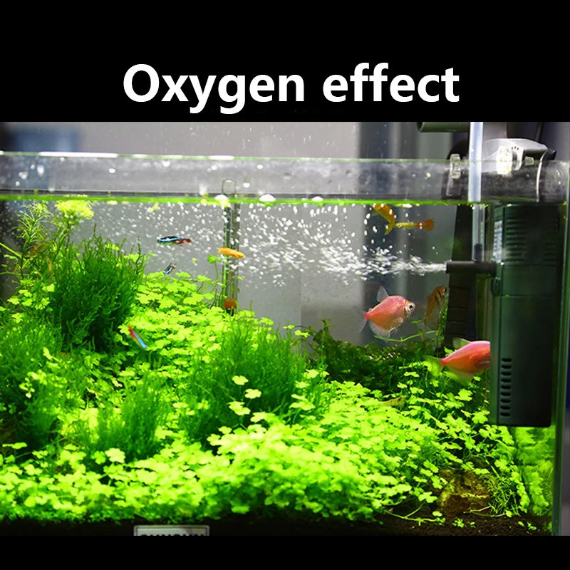 Sunsun 311B 111B ขนาดเล็กนาโน6 - Marine Aquarium Uv Sterilizer บทวิจารณ์และราคา