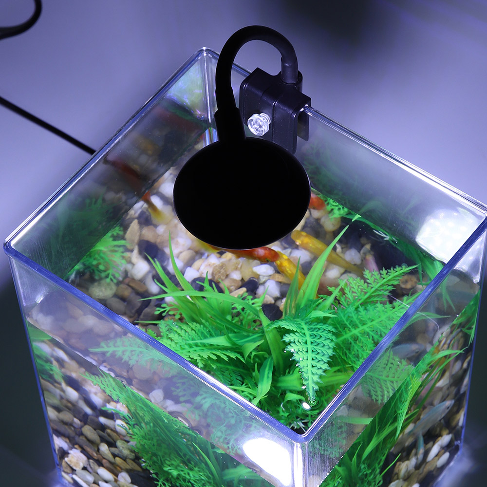 ชุดถังปลาเดสก์ท็อป USB-ติดตั้ง - Marine Aquarium With Sump บทวิจารณ์และราคา